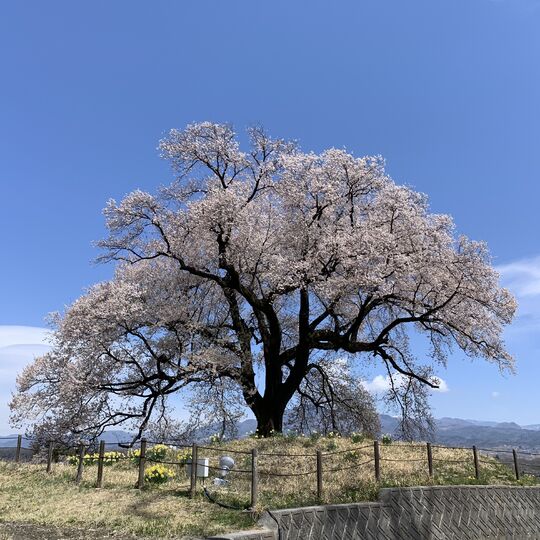 FF239616-6927-45B8-9C93-1EA93505CBAB