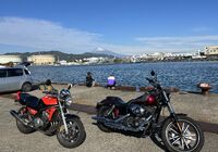 IMG_2533