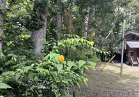 IMG_4213